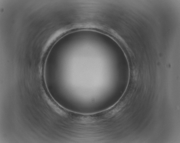 X0000084601416200703091917