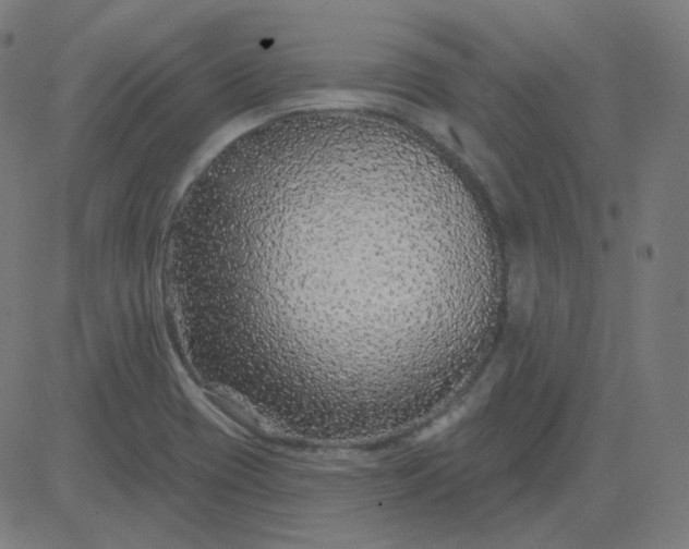 X0000084601417200703091917