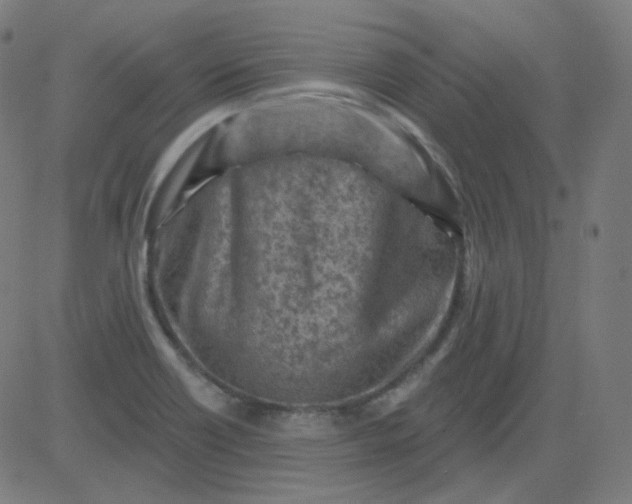 X0000084601418200703091917