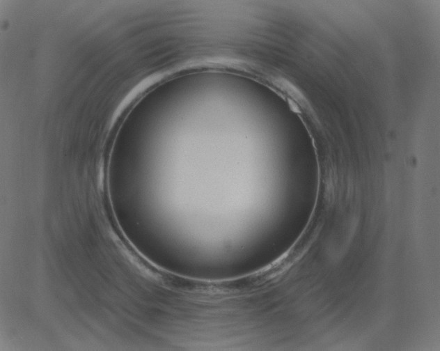 X0000084601420200703091917