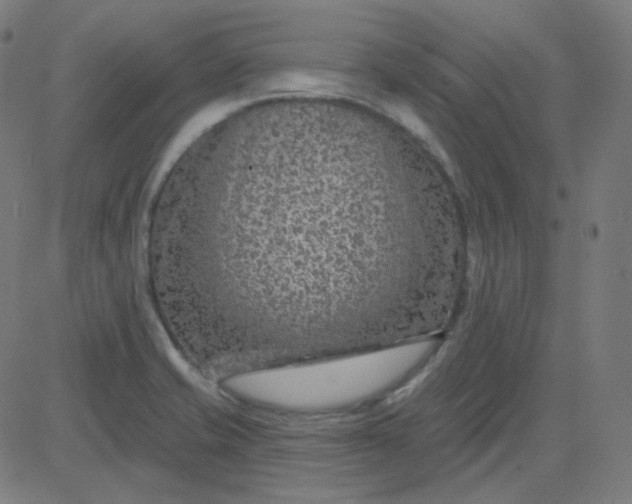 X0000084601421200703091917