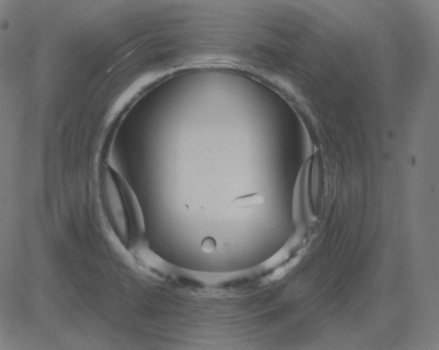 X0000084601422200703091917