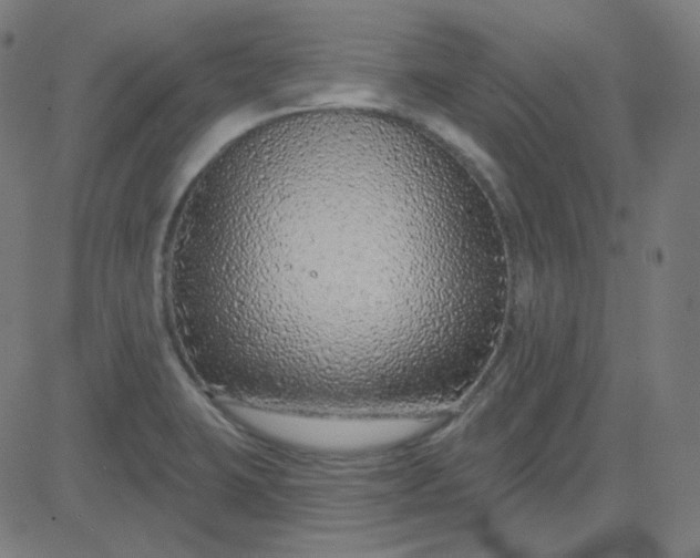 X0000084601423200703091917