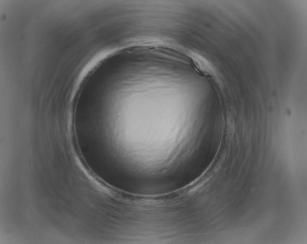 X0000084601424200703091917