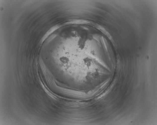 X0000084601425200703091917