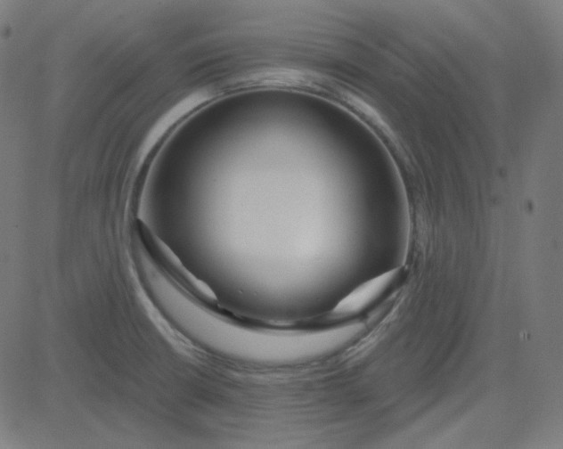 X0000084601426200703091917