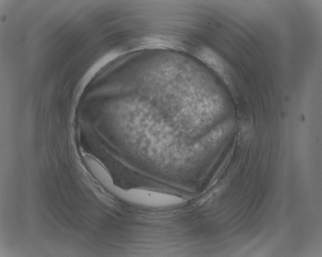 X0000084601427200703091917