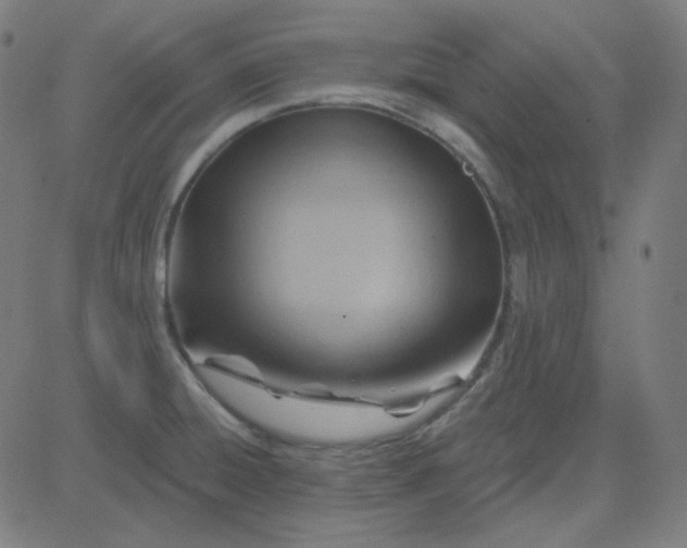 X0000084601428200703091917