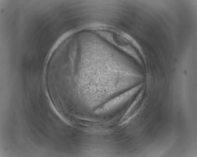 X0000084601429200703091917