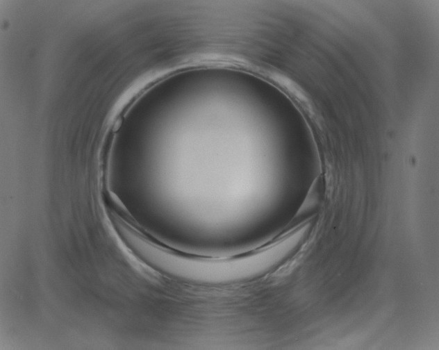 X0000084601430200703091917