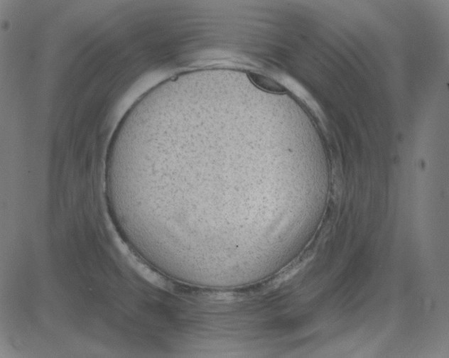 X0000084601431200703091917