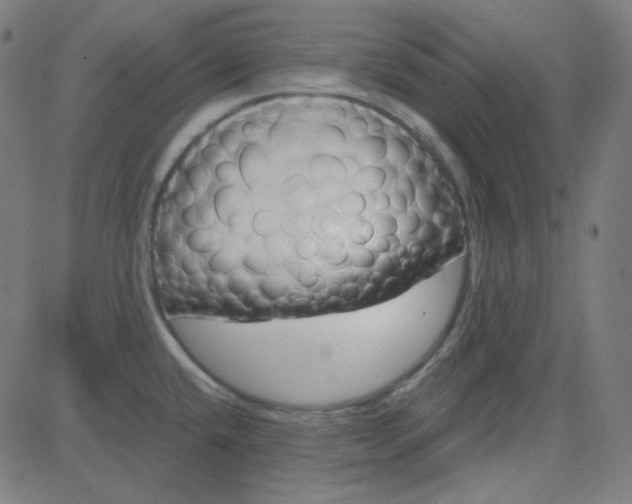 X0000084601432200703091917