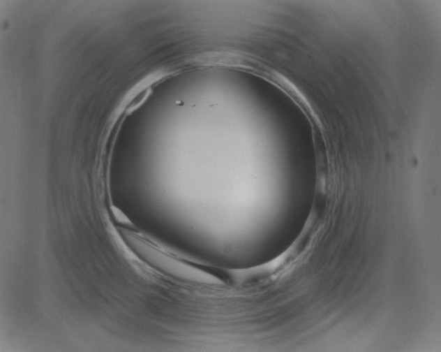 X0000084601434200703091917