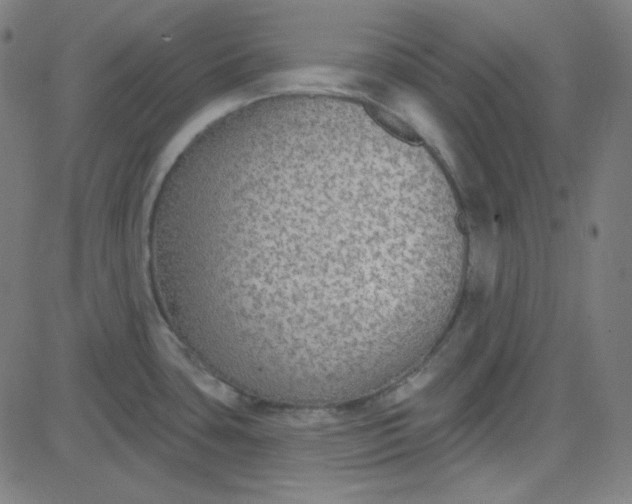 X0000084601435200703091917