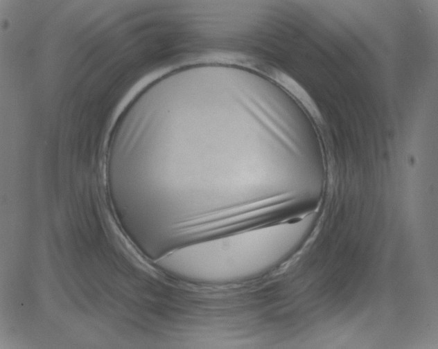 X0000084601436200703091917