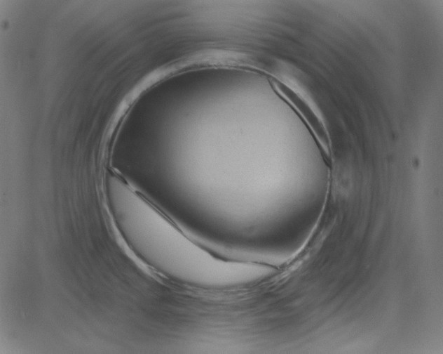 X0000084601437200703091917