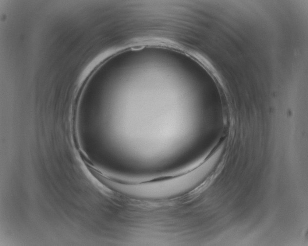 X0000084601438200703091917