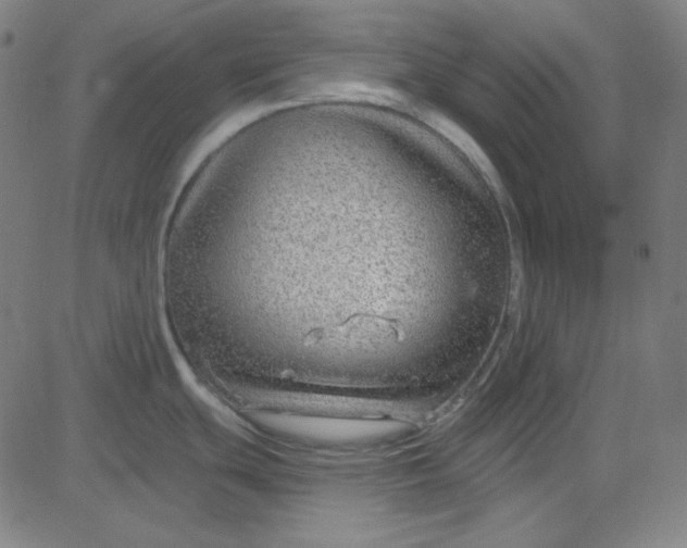 X0000084601439200703091917