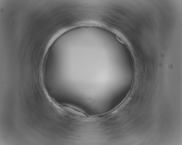 X0000084601440200703091917