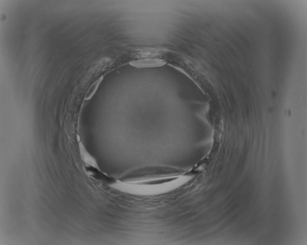 X0000084601441200703091916