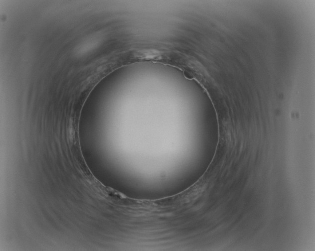 X0000084601442200703091916