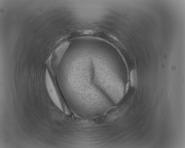 X0000084601443200703091916