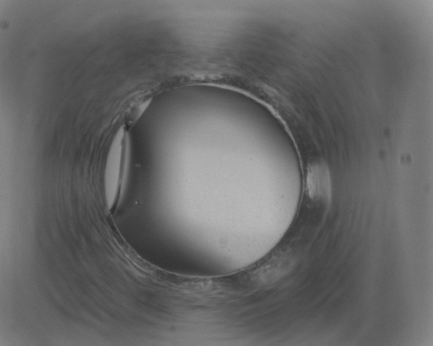 X0000084601444200703091916