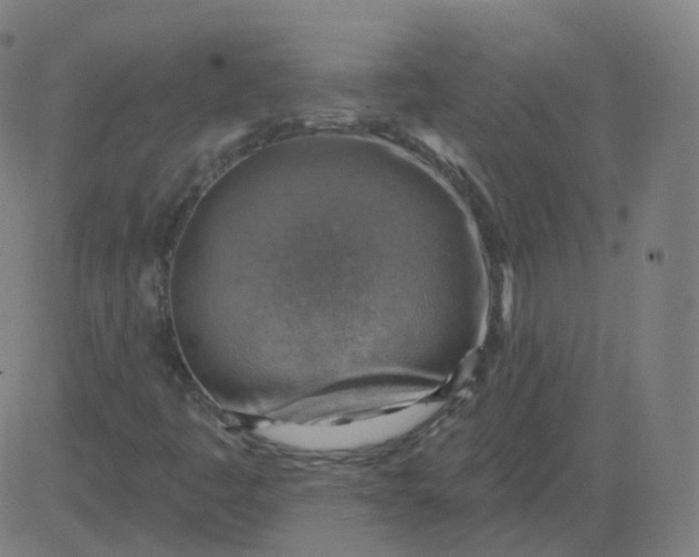 X0000084601445200703091916