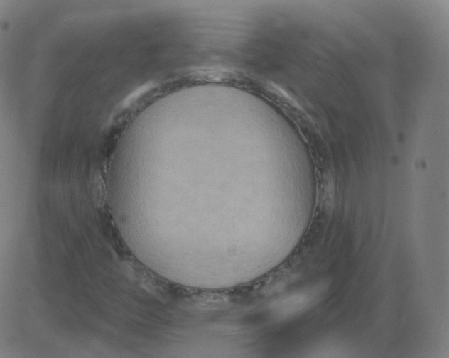 X0000084601446200703091916