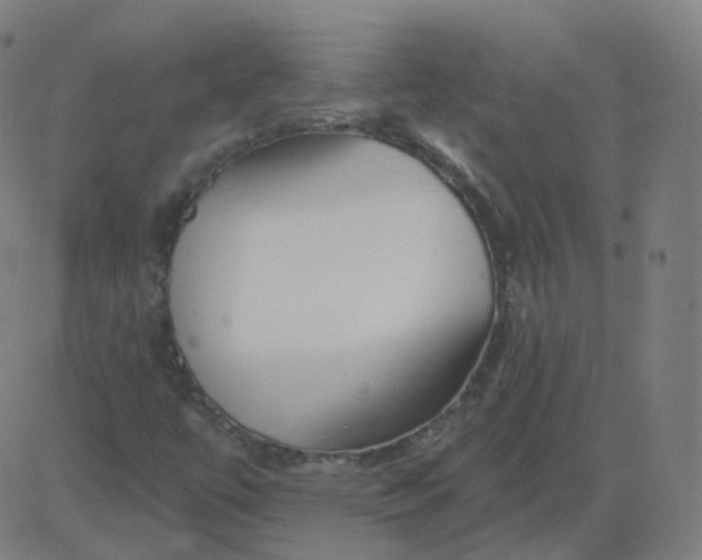 X0000084601447200703091916