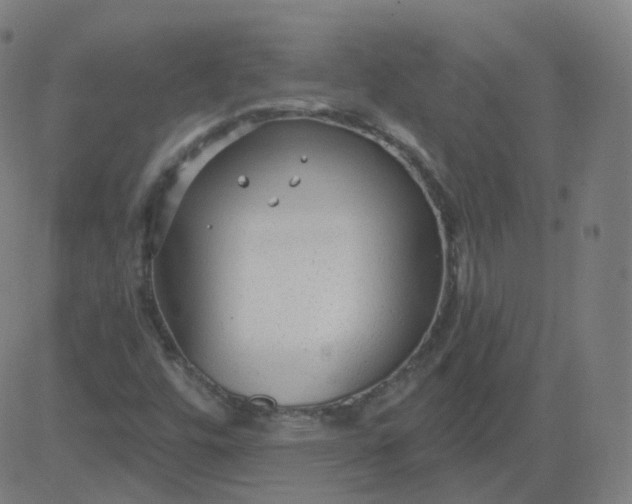 X0000084601448200703091916