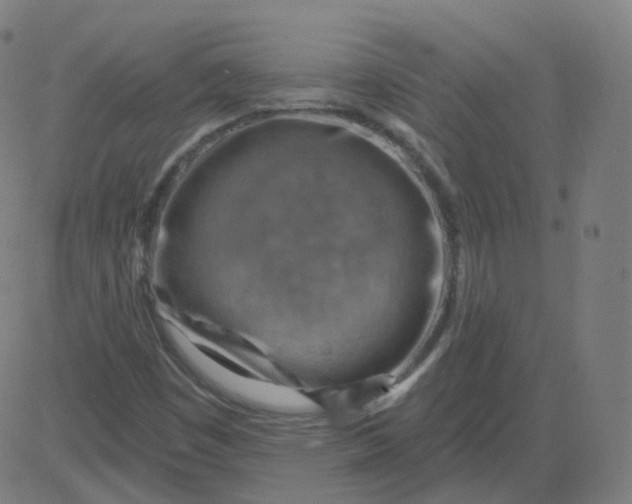 X0000084601449200703091916