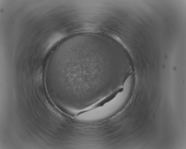 X0000084601450200703091916