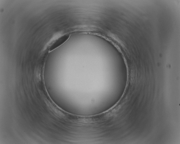 X0000084601451200703091916