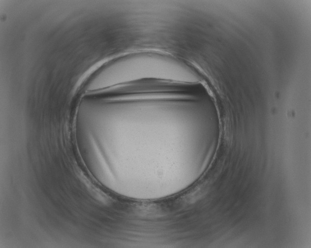 X0000084601452200703091916