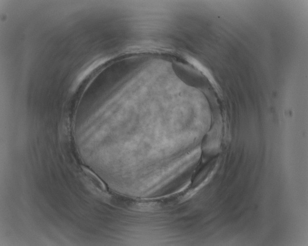 X0000084601453200703091916