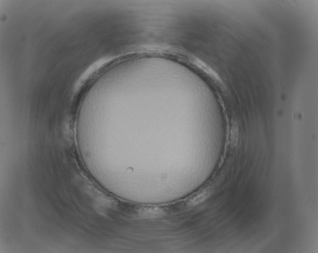 X0000084601454200703091916