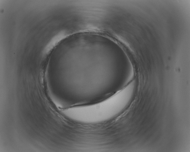 X0000084601455200703091916