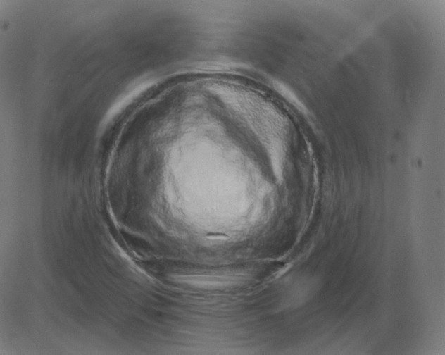 X0000084601456200703091916