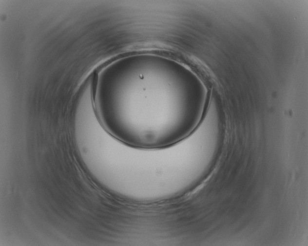 X0000084601457200703091916