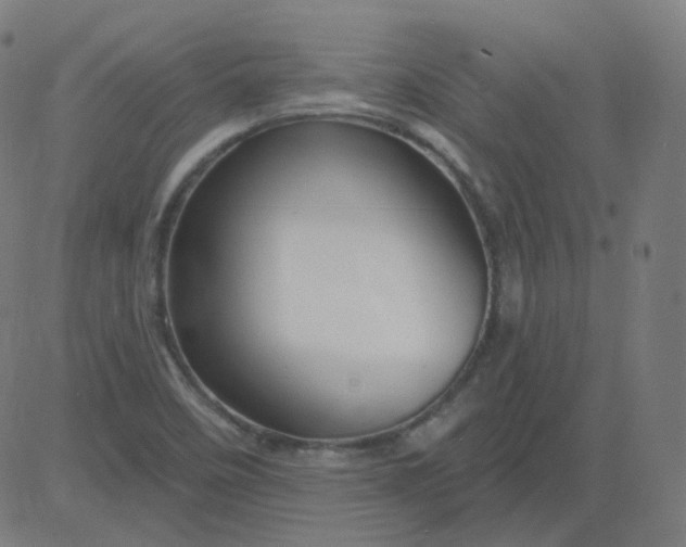 X0000084601458200703091916