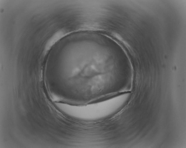 X0000084601459200703091916