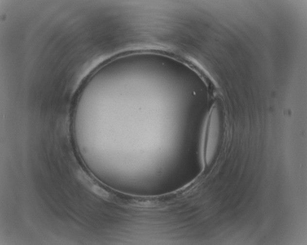 X0000084601460200703091916