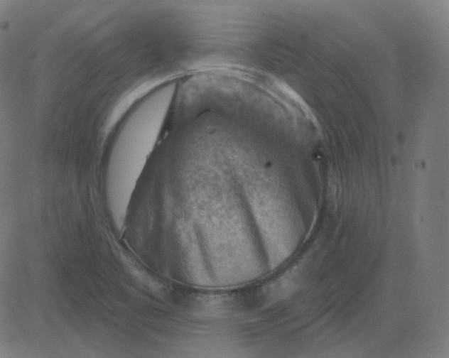 X0000084601461200703091916