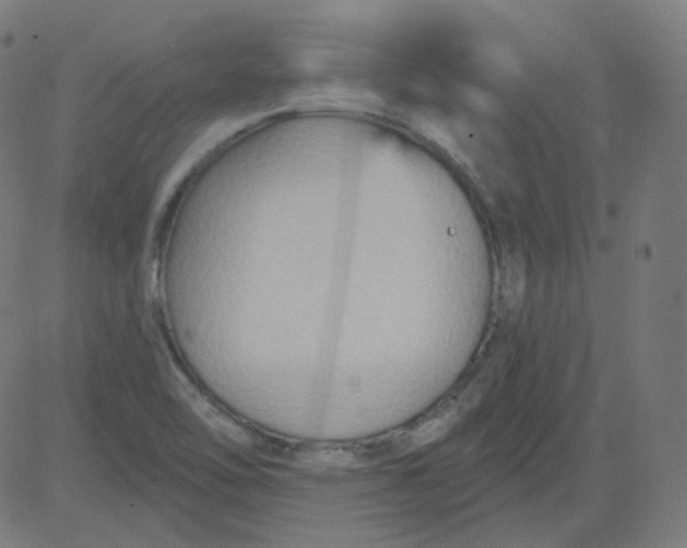 X0000084601462200703091916