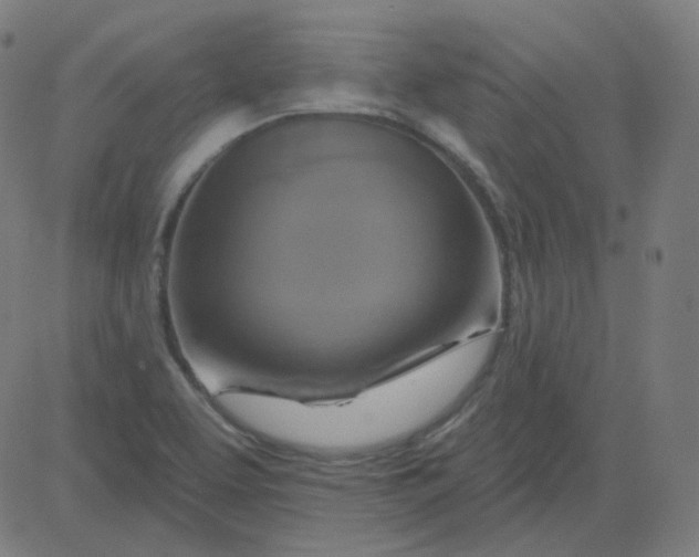 X0000084601463200703091916