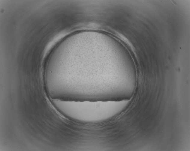 X0000084601464200703091916