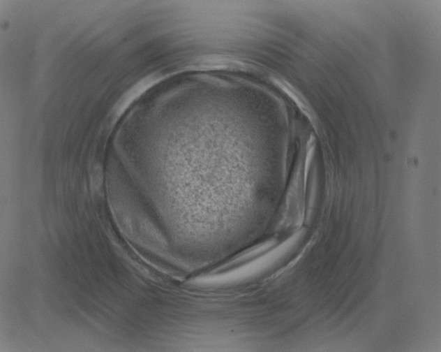 X0000084601465200703091916