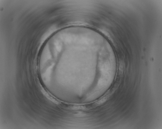 X0000084601466200703091916