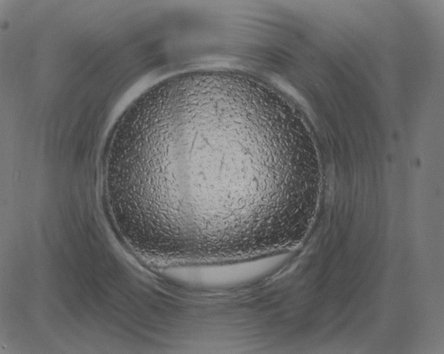 X0000084601467200703091916